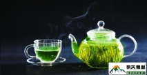 绿茶在防致癌物质、抗衰老及抗菌方面的特效-易天易健