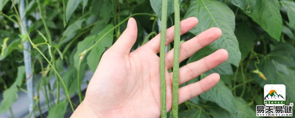 吹空调皮肤容易干 6种食物能保护皮肤