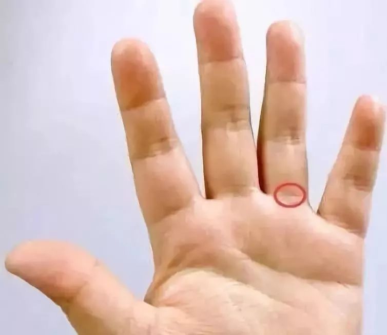 194445qsyxssig98giloxg.jpeg 194445qsyxssig98giloxg.jpeg