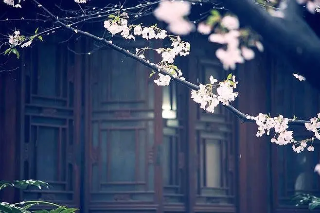 095956w5yx7msi9p38nsk2.png